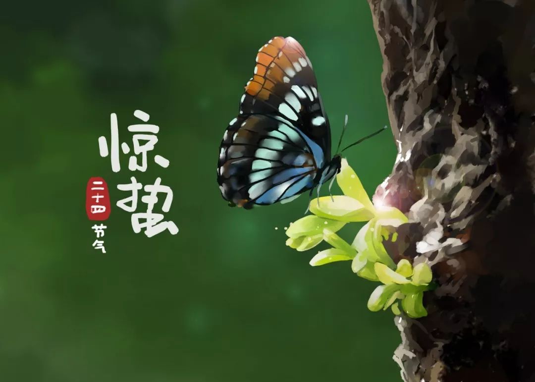 28首惊蛰的诗词,惊蛰节气刚过的诗句