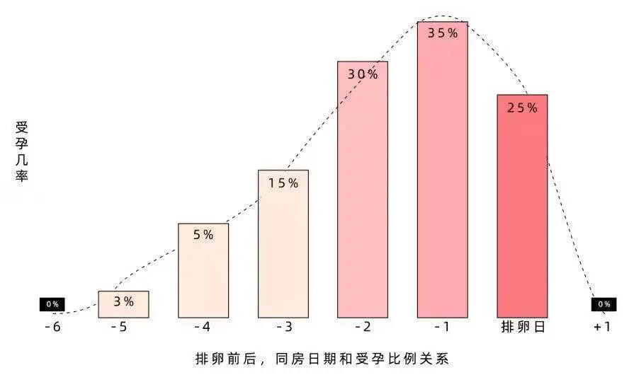 备孕最常见的七大误区,备孕容易陷入的8大误区