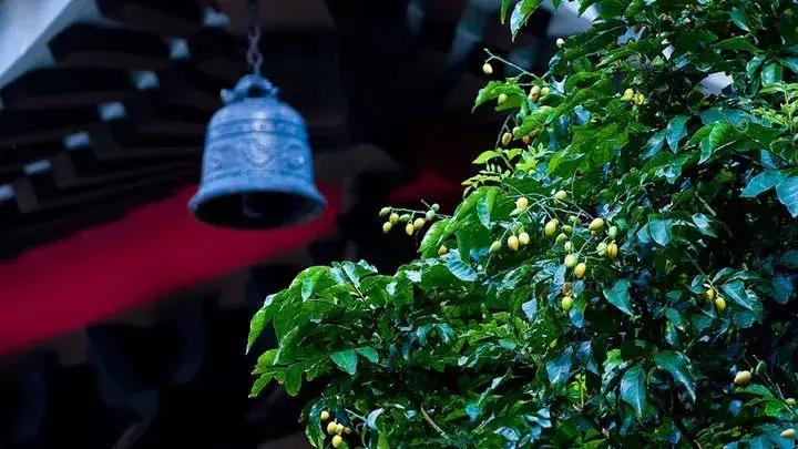 人死后去阴间的全过程，看醒了很多人
