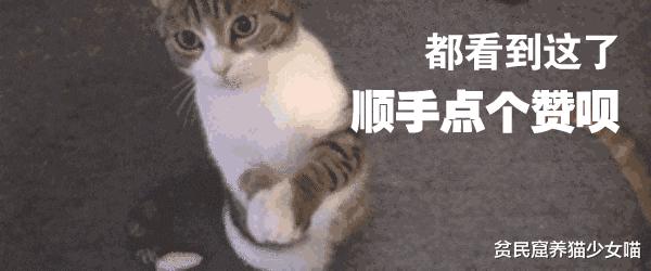 猫咪拉肚子医生给了益生菌,猫咪拉稀喂蒙脱石散需求禁食吗