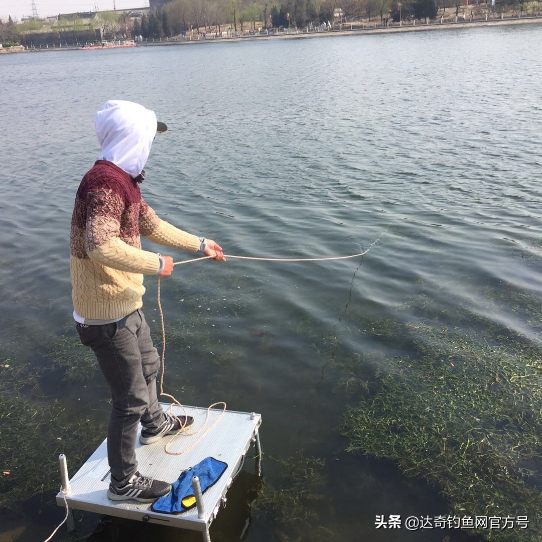 野河有水草的地方鱼多吗,水底有烂水草多怎么钓鱼