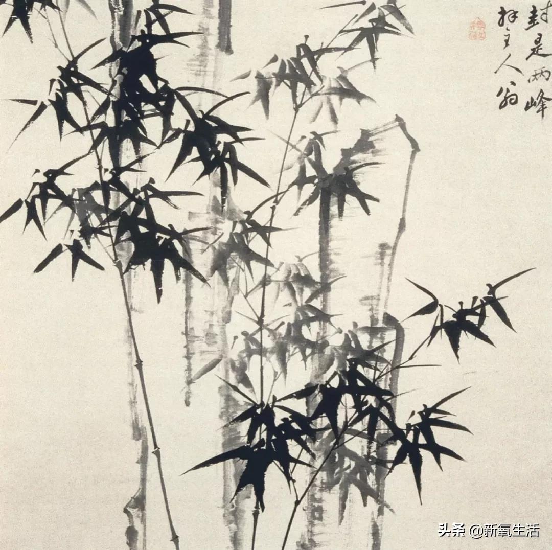 怪人郑板桥小说浏览,郑板桥卖书画