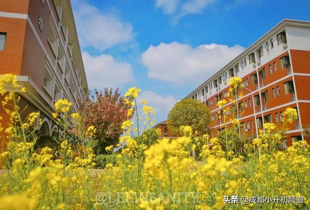 2024嘉祥锦江小升初招生简章,嘉祥温江小升初招生简章