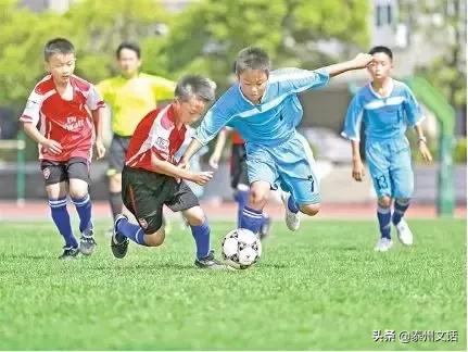 30万足球老师的生存状态调查