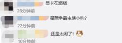 lol拳头设计师视频,lol虚空先知元老议会