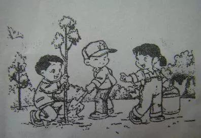 植树节看图写话一年级20至30字,一年级给奶奶吃苹果看图写话30字