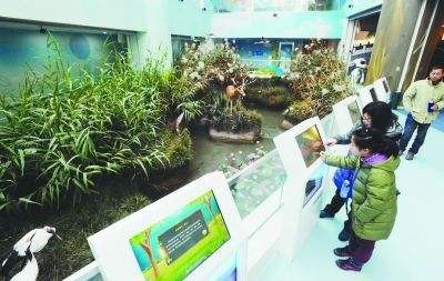 金湖水漾年华风景区,金湖水漾年华里面有什么植物