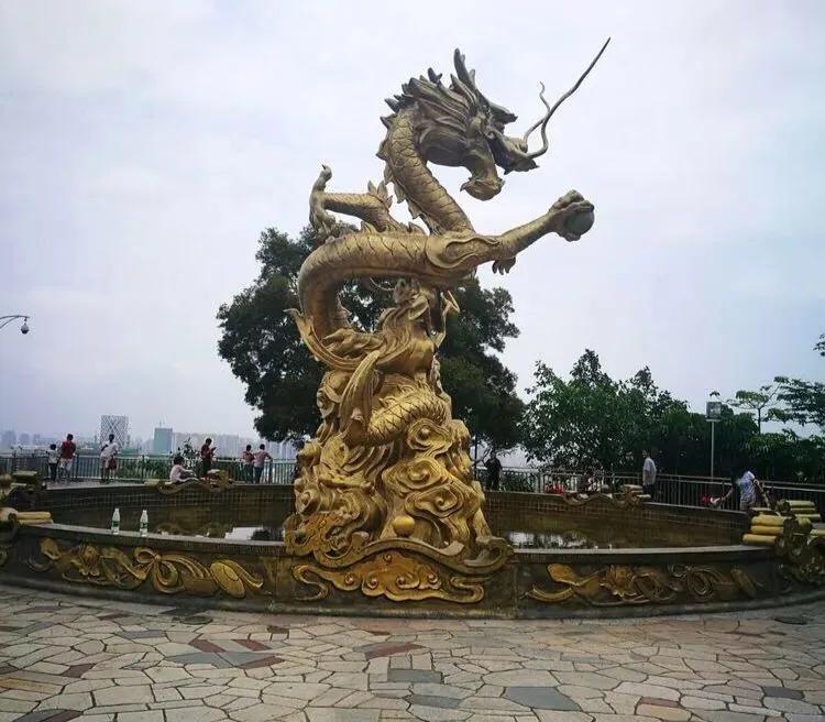 深圳花海景区推荐图片大全,深圳哪里有大片花海