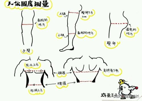 身体成分测试在哪里测试,如何测身体成分