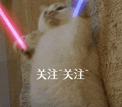 巴哥犬的体臭能彻底清除,两个月巴哥犬怎么除体臭