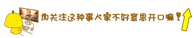 女排排球精神,中国女排郎平诠释女排精神