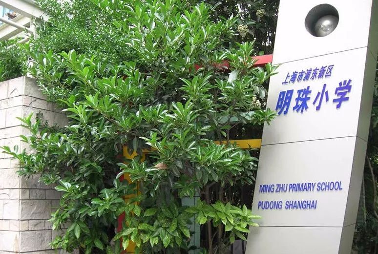 上海16区小学排名一览表,2019年幼升小上海梯队学校名单