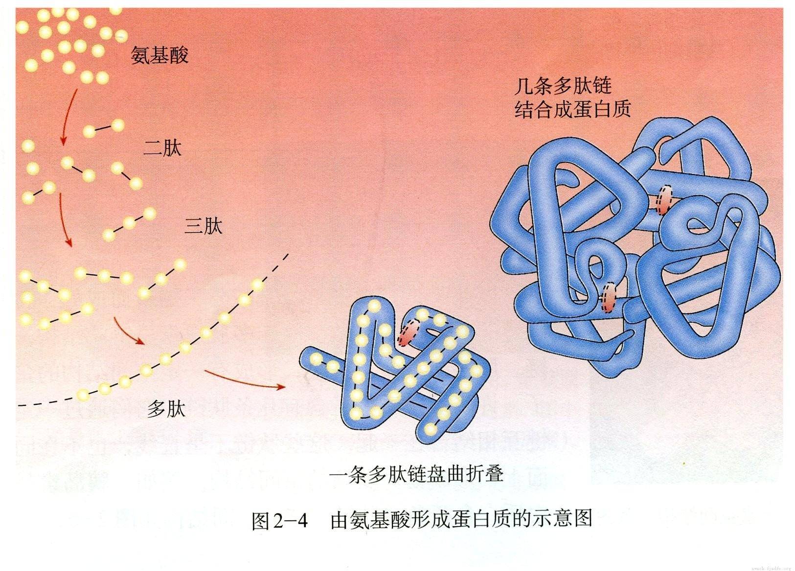 最早的生命到底是咋来的？难道真的是从石头里蹦出来的吗？