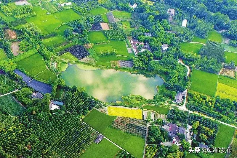 郫都排名前十名,全国百强镇名单最新排名四川