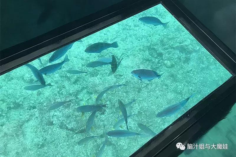冲绳旅游攻略暑假小朋友,亲子游冲绳