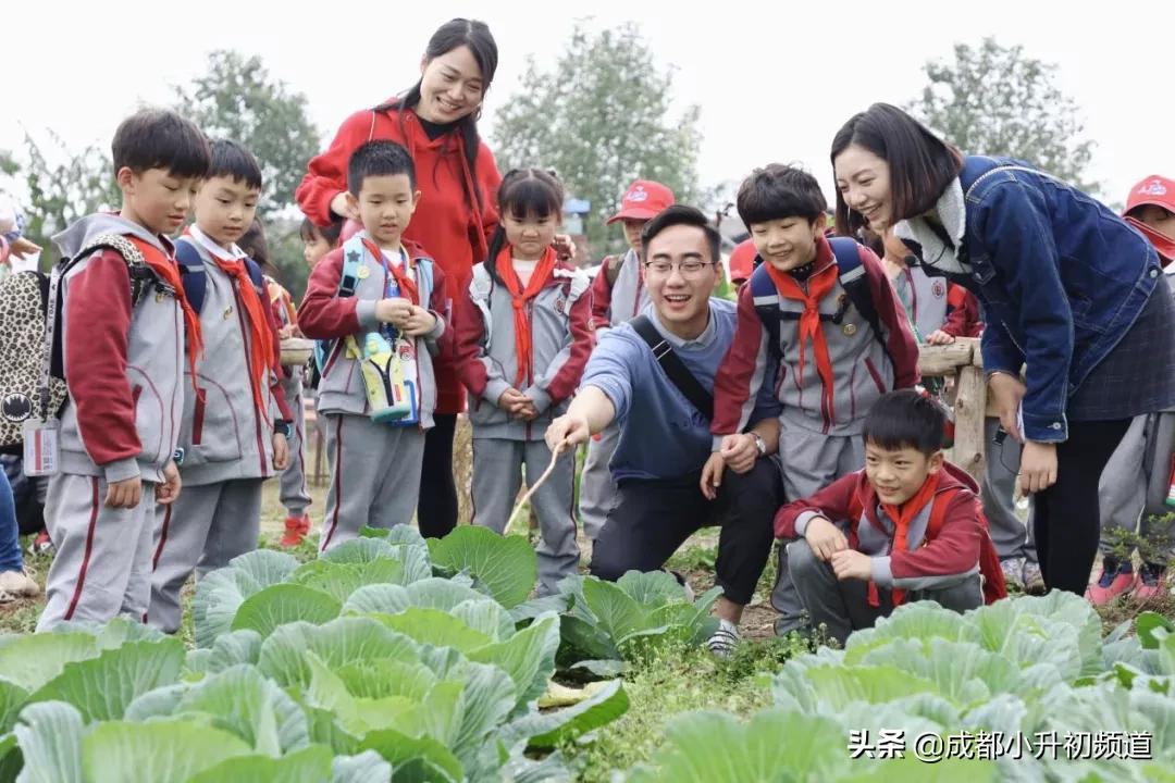 2024嘉祥锦江小升初招生简章,嘉祥温江小升初招生简章