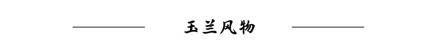 歙县秋季旅行攻略来了,安徽黄山徽州研学旅行