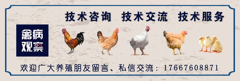 鸡舍通风不当容易出现问题,养鸡夏季水帘应该控制到多少度