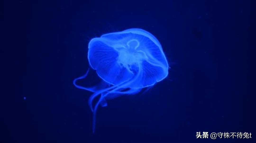 10个冷知识：502胶水从味觉上来讲，是什么味道