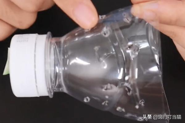 小常识灭蟑螂,灭蟑螂的最好方法家中无蟑螂