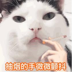 微信聊天表情包,微信聊天表情包怎么删掉