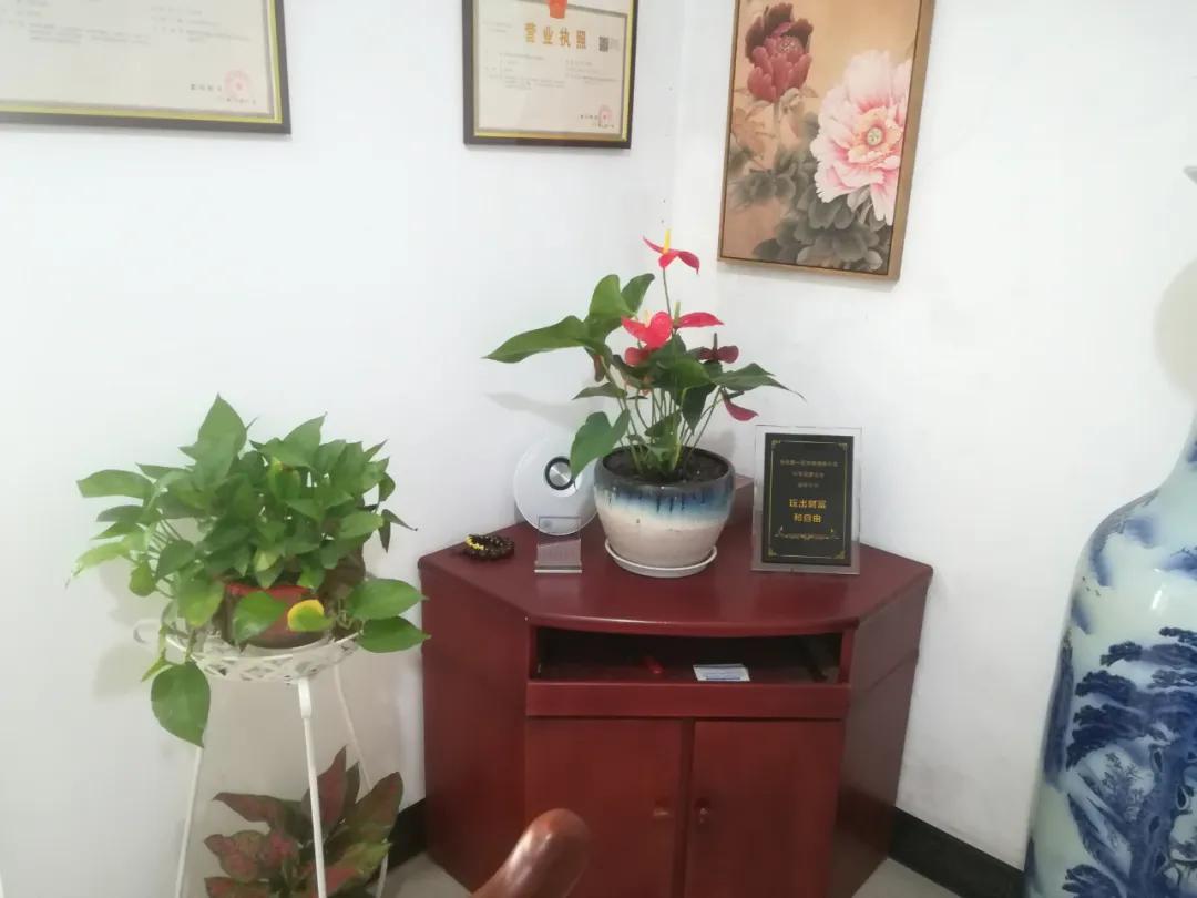张启东：商人这个词在过去是用来骂人的！