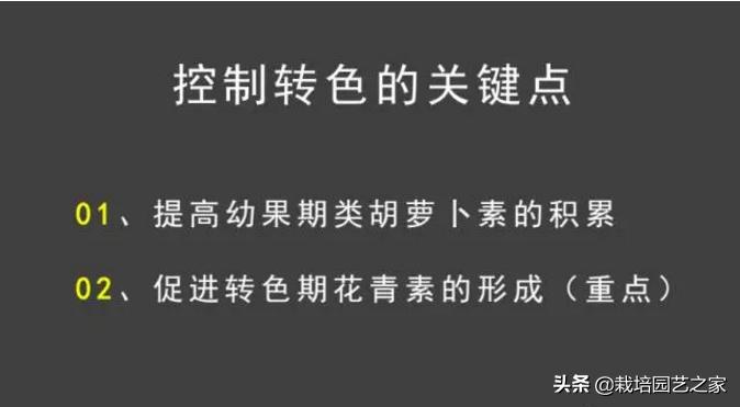 葡萄上色哪种最好,葡萄需求上色的有哪些品种