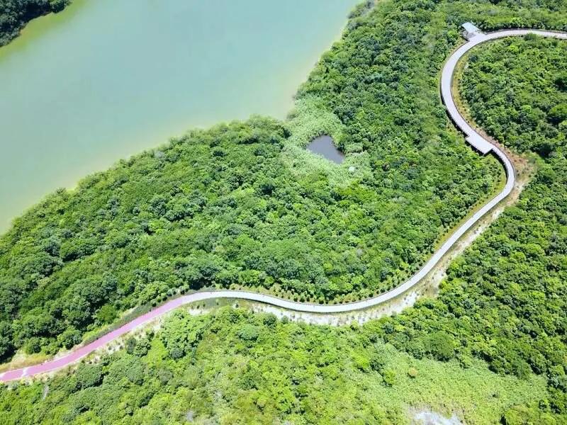 深圳免费公园哪里最好啊,深圳十大免费公园景点大全