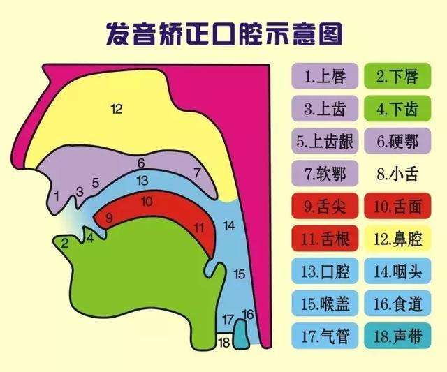 嘴笨怎么训练说话技巧,嘴笨表达能力差怎么提高