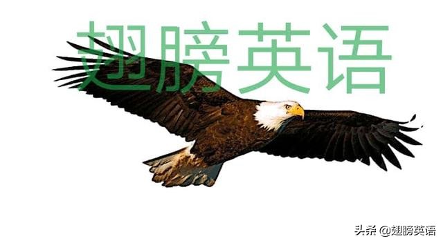 热门考点与解题技巧,热点话题考点