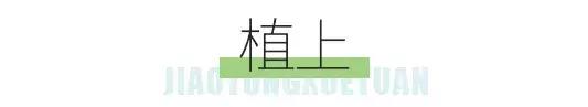 交院武广校区,交院在哪边