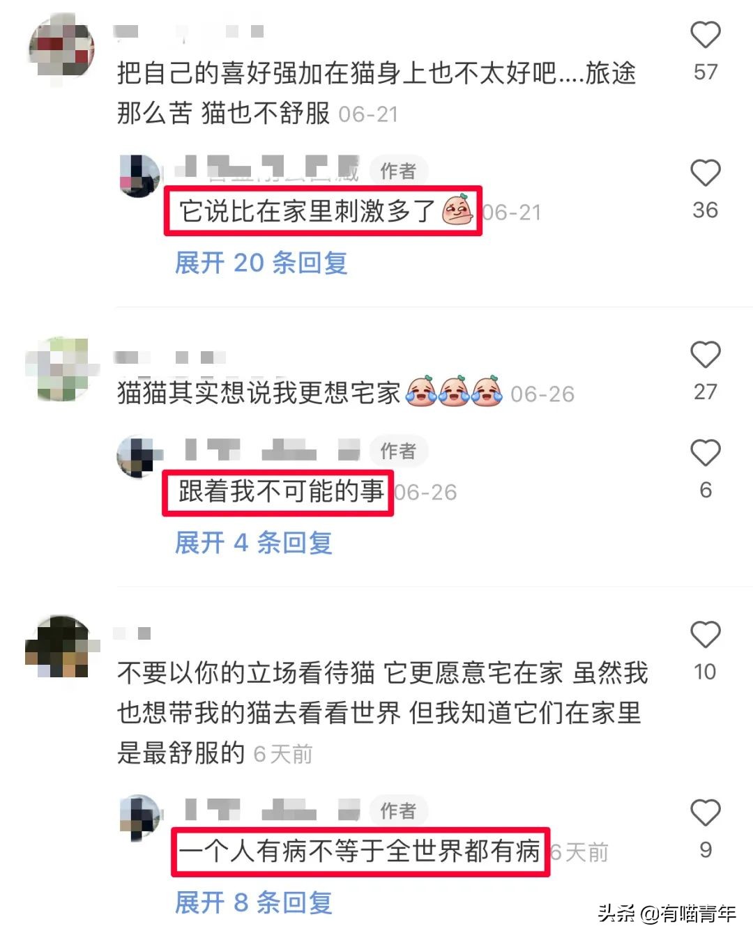 网红绑猫*藏西**骑行求关注，遭网友质疑回怼：比在家里刺激多了