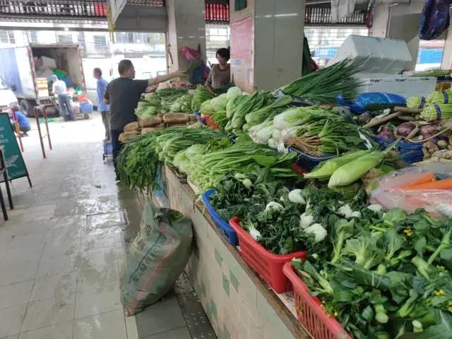 广州菜价已回落，更多蔬菜在路上……