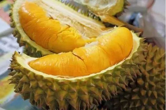 喝红酒不能吃什么水果,柿子和什么水果不能同食