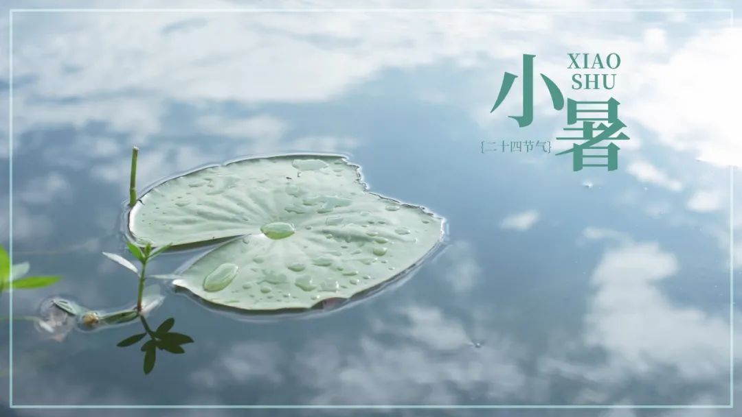 小暑至觅一处清凉守一寸静谧时光,今日小暑风动莲生香心静自然凉