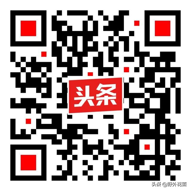 一个人突然不想做老好人了,不做老好人的善良