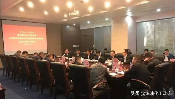 浙江晋巨化工合成氨项目召开设计审查会