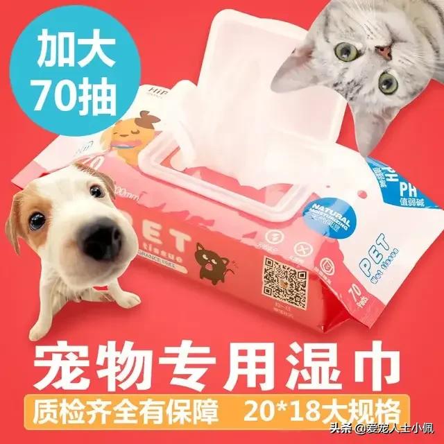 猫咪能感受其他猫咪生病了吗,猫咪总流眼泪是什么原因呢
