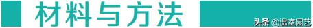辣椒基质育苗肥哪里买,辣椒育苗基质怎么配制