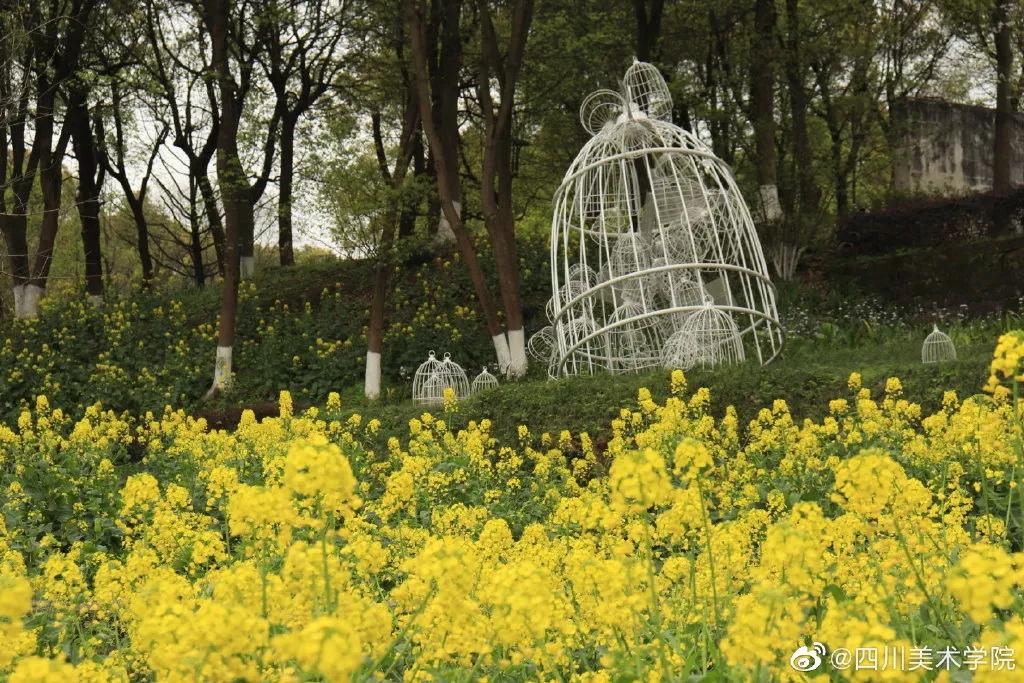 九大美院校园风景,中国九大美院校园风采