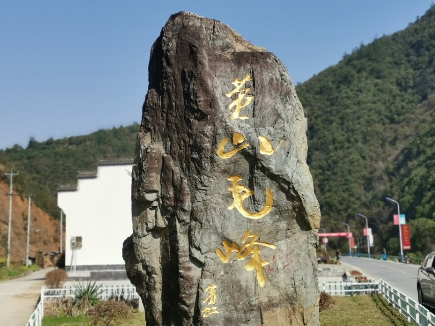 黄山毛峰的了解,了解黄山毛峰