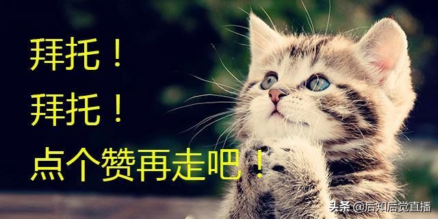 黄金概念股一览,黄金概念股参考哪个期货