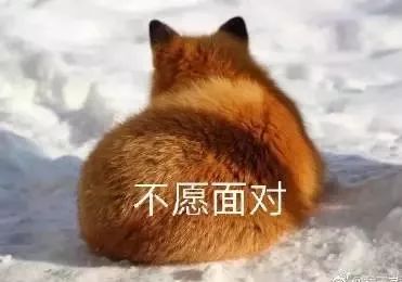 十二种镜头拍照方式,害怕镜头是什么症状