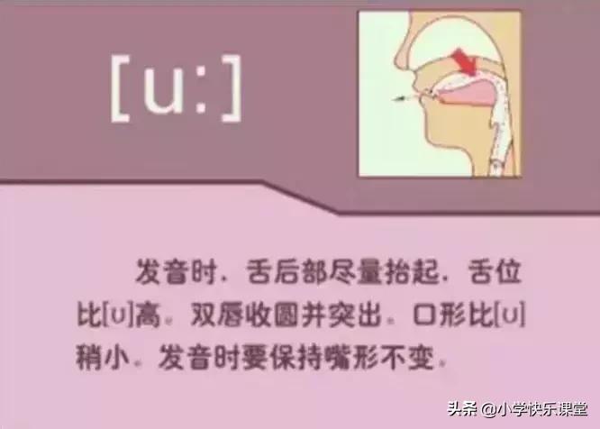 48个国际音标的发音口型视频图,英语48个音标发音口型视频