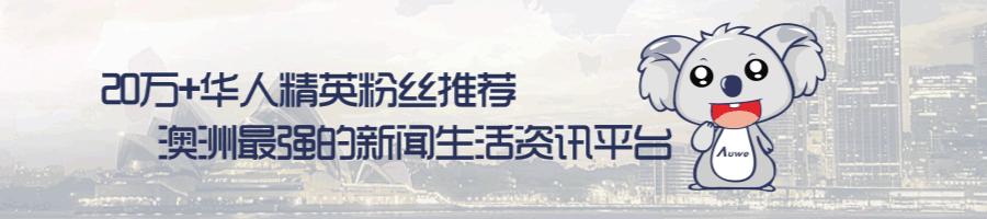 海关对进出境旅客行李物品监管,海关严查入境物品