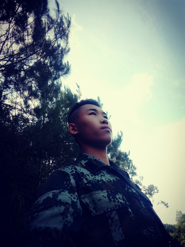 中国人民武装警察部队森林防火,武装森林警察部队