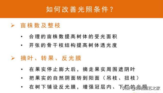 葡萄上色哪种最好,葡萄需求上色的有哪些品种