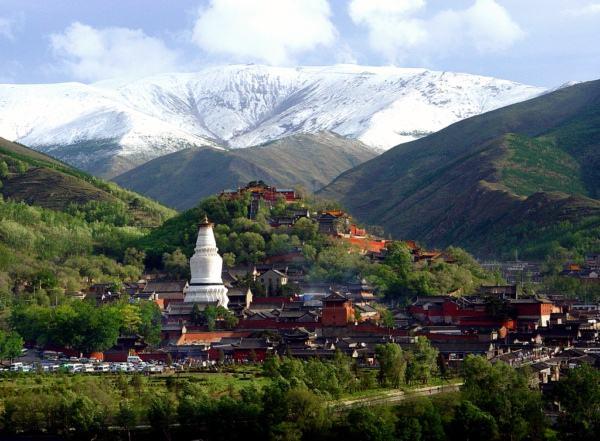 有哪些原始森林公园可以去玩,世界森林公园美景视频