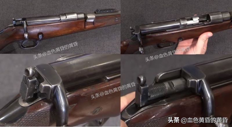 加拿大自产突击步枪,加拿大生产的步枪