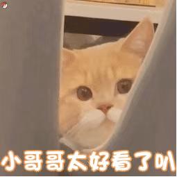 微信聊天表情包,微信聊天表情包怎么删掉
